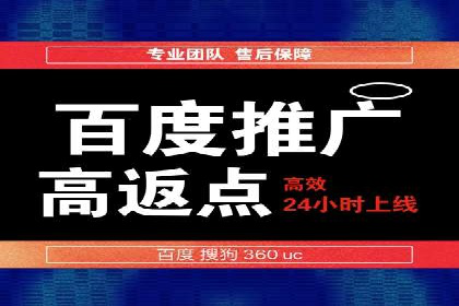 成功案例：专业SEM托管服务助力企业抢占行业制高点
